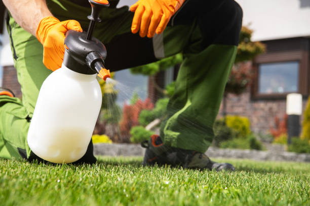 Best Rat Extermination Near Me  in Jnstown, OH