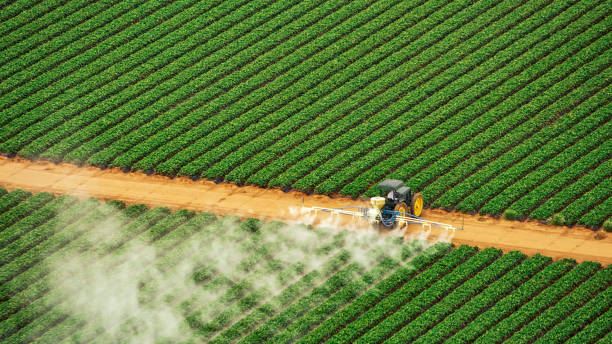 Pest Prevention Services in Johnstown, OH