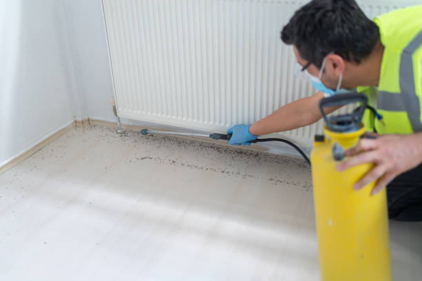 Best Pest Removal Services  in Jnstown, OH