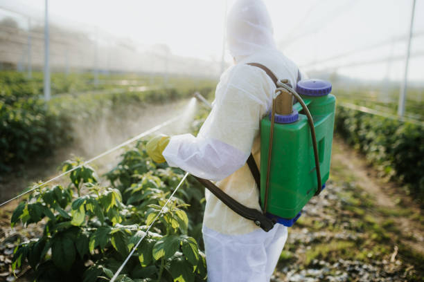 Best Best Pest Control Companies  in Jnstown, OH